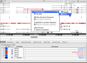 loraineLab-visualizingGenomes-2